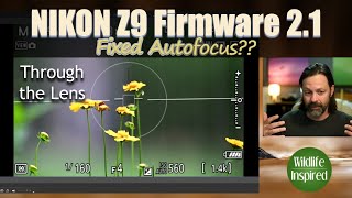 Nikon Z9 Firmware 2.1 - Did It Really Improve Autofocus issue