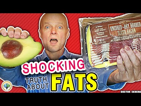 Are FATS BAD For You & Your Body? (Real Doctor Reviews The TRUTH)