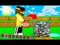 MINECRAFT MA I BLOCCHI che PIAZZI sono CASUALI