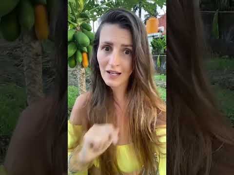 Videó: Papaya csillapítási problémák – A papaya csíranövények csillapításának okai