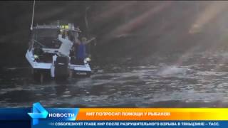 Огромный кит попросил помощи у рыбаков Огромный кит попросил помощи у рыбаков