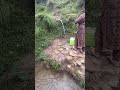 naturenatural#Dhara ka pani##natural #water fall