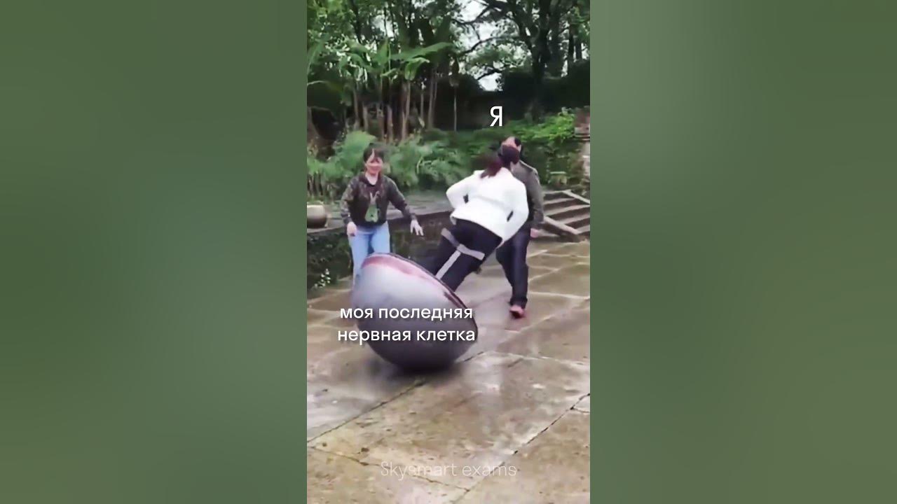 Последняя нервная клетка перед ЕГЭ - YouTube