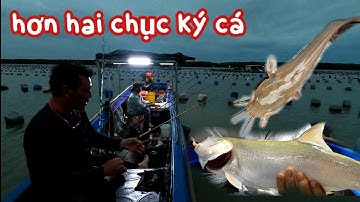 CCGT Tập 1 Chuyến Đi Câu Đầu Tieng Hơn Hai Chục Ký Cá Đủ Loại/Đat Nguyễn Cần Giờ