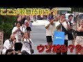 新宿、歌舞伎町のゴジラと3D猫ちゃんの迫力に外国人観光客たちが圧倒される