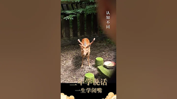 世界上最愚蠢的行為 就是不停的跟別人講道理 - 天天要聞