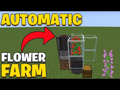 Automatic 2 Tall