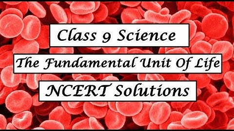 Class 9 | The Fundamental Unit Of Life | NCERT Solutions | Space For Genius