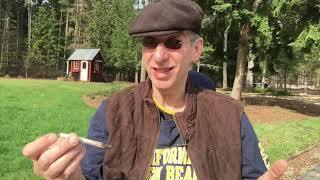 Maui Wowie Marijuana Strain Review