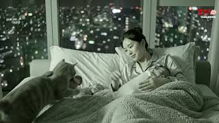한 침대 위의 사랑 — 엄마와 고양이의 평화로운 공존