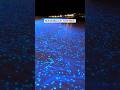 4 Bioluminescent Beaches In India India Sea