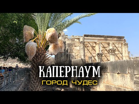 Видео: Капернаум. Сто чудес и одно проклятие
