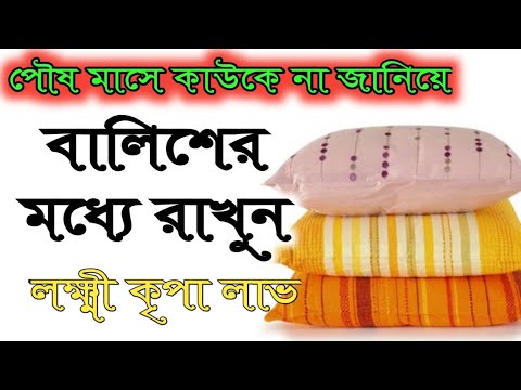 পৌষ মাসে বালিশের মধ্যে এটি রাখলেই হবে না আপনি কোটিপতি SOUVHAGO, সৌভাগ্য, facts explained, বালিশের