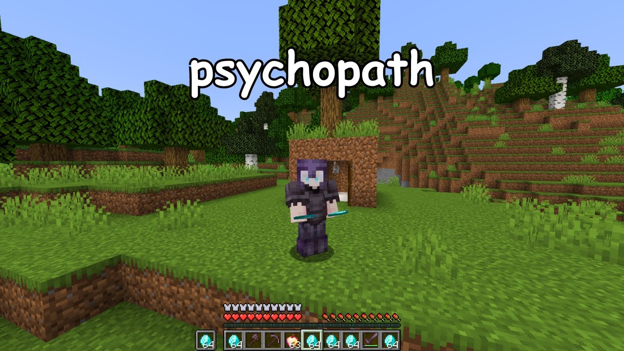 Types of players portrayed by Minecraft YouTube