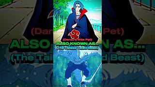 Itachi Vs Kisame Who Is The Strongest? 100% Facts