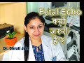 Fetal echo     by fetal medicine  genetics expert  dr shruti jain in hindi