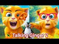 My Talking Ginger 2 Gameplay FUNNY Video talking ginger 