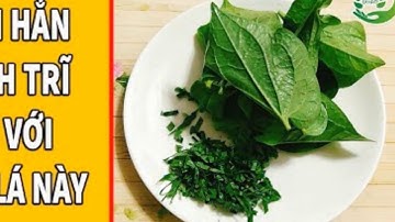 Cách chữa bệnh trĩ dân gian từ lá lốt ít người biết