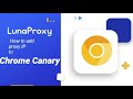 How to add dynamic residential proxy to Chrome Canary
