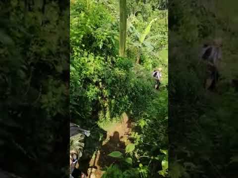 Komunitas peci miring