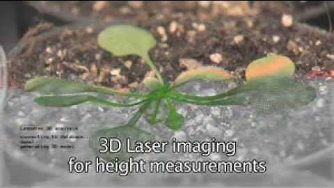 Hight Throughput small plant Phenomics