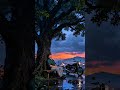 ✨Peaceful Anime Moment That Heal Your Soul | #shorts #relaxingmusic #mindfresh #shortsfeed #viral