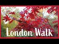 Nunhead, Honor Oak, and Peckham Rye | Easy Walk | Drone 4k View | 🇬🇧 Hiking in uk for beginners