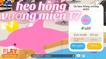 #43 Hight Light Câu Cá Heo Hồng Vương Miện Thứ 7 | PLAY TOGETHER