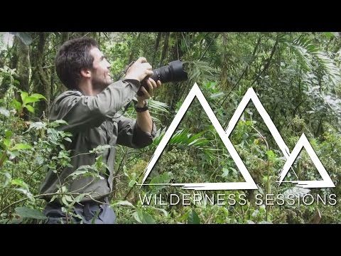 Flying Over The Cloud Forest of Mexico | Wilderness Sessions | Earth Unplugged