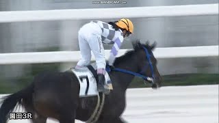 【新記録】園田佐々木世麗騎手　新人女性騎手デビュー年最多勝記録レース映像　