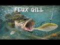 How to Rig Berkley Flux Gill + Underwater Action Breakdown!