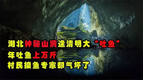 湖北神秘山洞逢清明大吐魚，年吐魚上萬斤，村民接魚專家卻氣壞了？ - 天天要聞