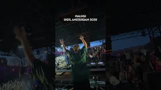 Malugi at DGTL Amsterdam 2025. #DGTL #malugi #shorts