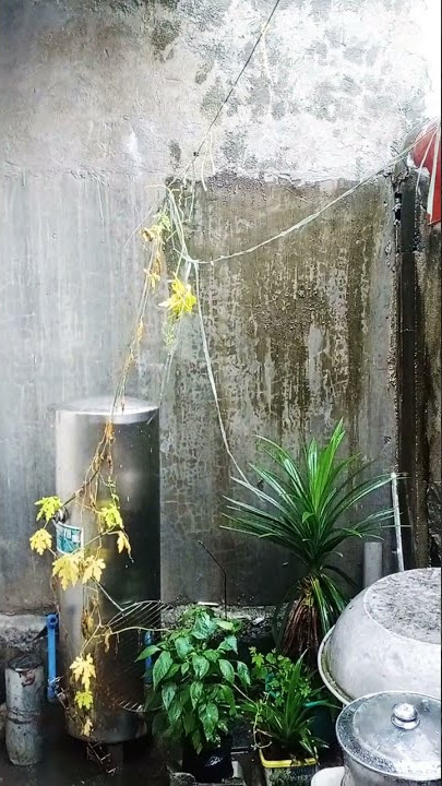 Weather today in philippines 9.2.21 #shorts