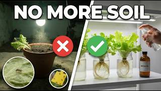 Why I Banned Soil From My Basement (And What I Use Instead)
