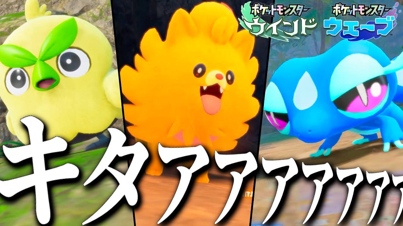ポケモン完全新作「ウインド・ウェーブ」の発表で言葉が出なくなるピロ【ポケモンプレゼンツ反応】