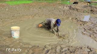 Amazing Boy Catching Giant Big Fish By Mud In The Dry Season