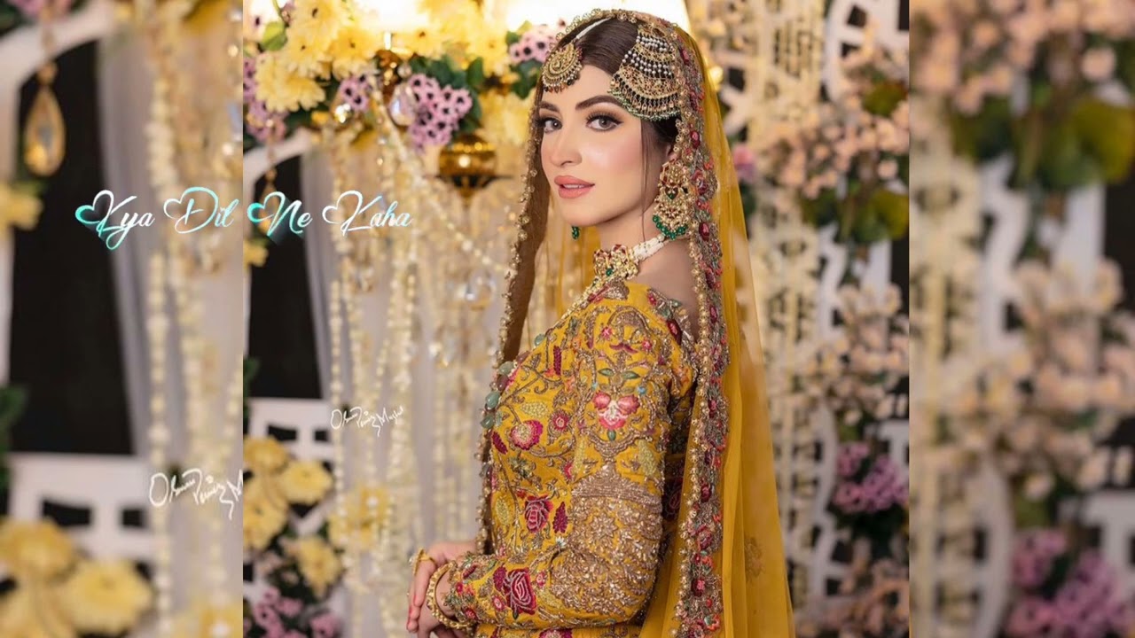 Palke jhuki hai sansec ruki hai koi hame pukare new status female version 💕💕💕💕💕💕