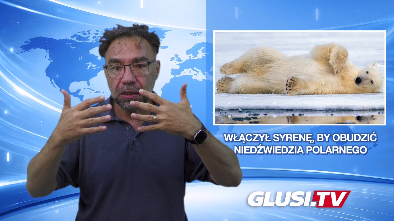 Włączył syrenę, by obudzić niedźwiedzia polarnego