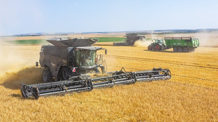 🇨🇵 Moisson XXL 100% FENDT dans l'aube: 23m de coupe - FENDT IDEAL 10T & MacDon