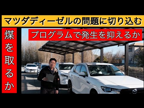 ロ*ー様 ディーゼル(クリーニング済) ディーゼルプロ｜株式会社IPSコーポレーション