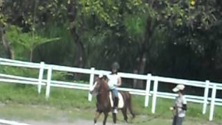 20120525三天兩夜馬術訓練第一棒~3