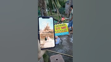 ✅có đầy đủ các loại giống nước ngọt  #trại_cá_giống_út_me #trại_cá_giống #cá #fish #fishing #miềntây