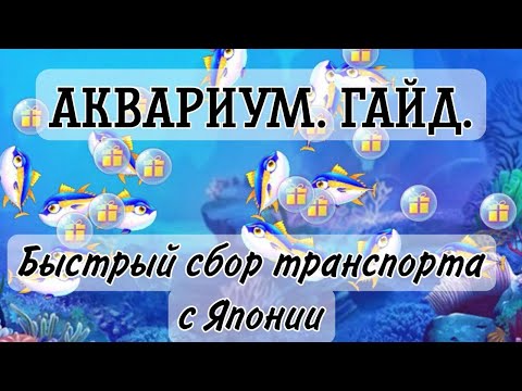 Аквариум Гайд. Как быстро собрать транспорт Японии | SWEET DANCE | Aurum | Гайд