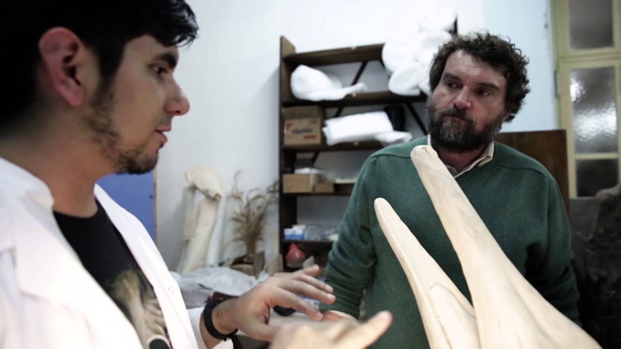 dialogatore Tras más de cien años en el exterior, fósiles pertenecientes al Dr. Ameghino vuelven al MACN