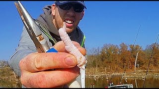 Walmart Fishing challenge - crazy fish bait! - Catfish Bait Challenge!