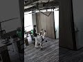 WATCH: Humanoid robot kicks developer, knocks remote from his hand #shorts #foxnews