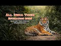 All India Tiger Estimation 2026 Sahyadri Tiger Reserve Maharashtra India