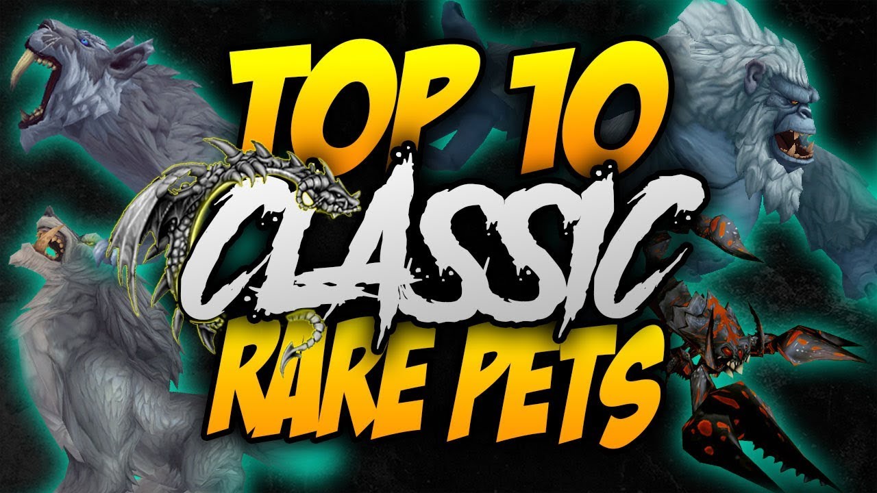 TOP 10 AWESOME RARE PETS IN CLASSIC WOW! - YouTube