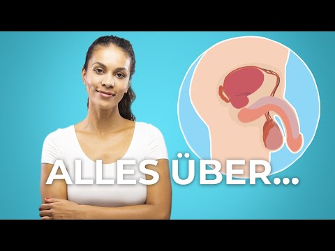 Video: Männliche Genitalien: Anatomie, Funktion Und Mehr